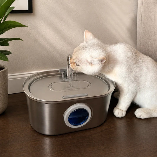 Fuente Miu™ | Protegelo de cualquier bacteria